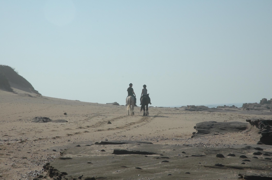 Commercial Property for Sale in Kaysers Beach Eastern Cape